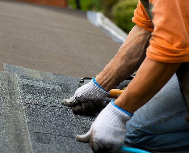 Best Metal Roofing Contractor  in Eureka, MO